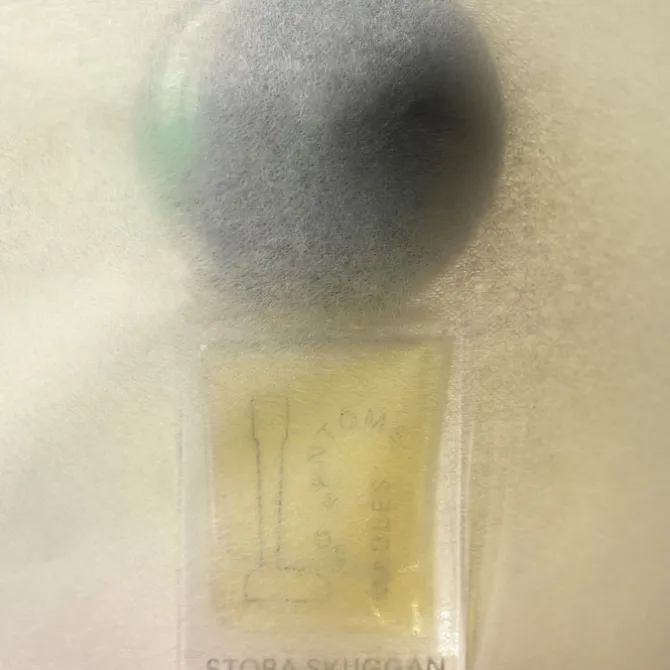 Fantôme De Maules