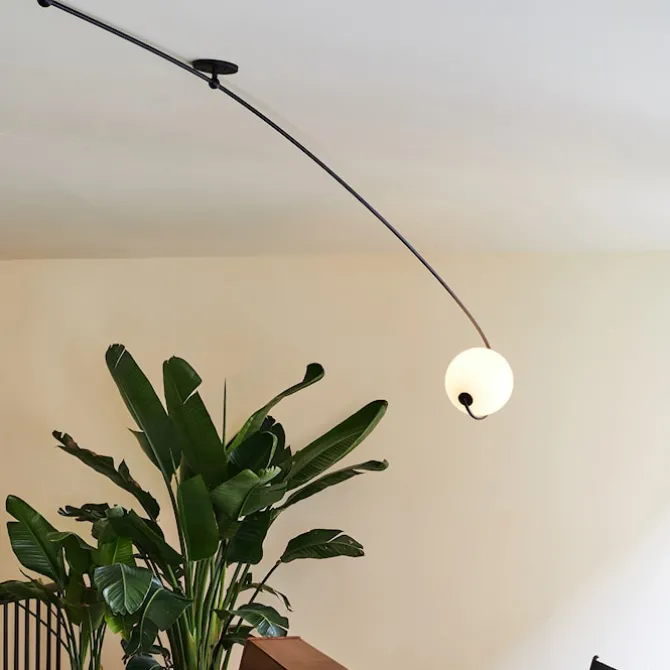 Fiddlehead Cantilever