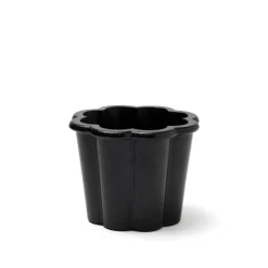Fjällsippa krukke lav