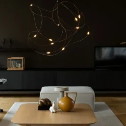 Flock Of Light 11