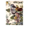 Flora Backyard Rug
