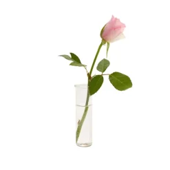 Flora-glassinnsats til Vesper
