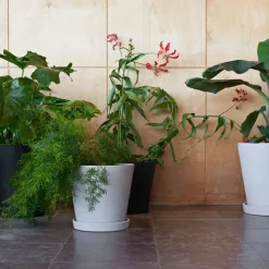 Flowerpot potte & fat Black