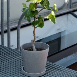 Flowerpot potte & fat Grey