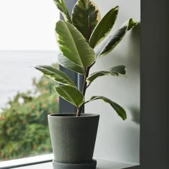 Flowerpot potte & fat Grey