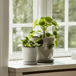 Flowerpot potte & fat Grey