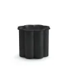 Greysippa Black Plant beholder