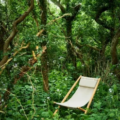 H55 Lounge Chair