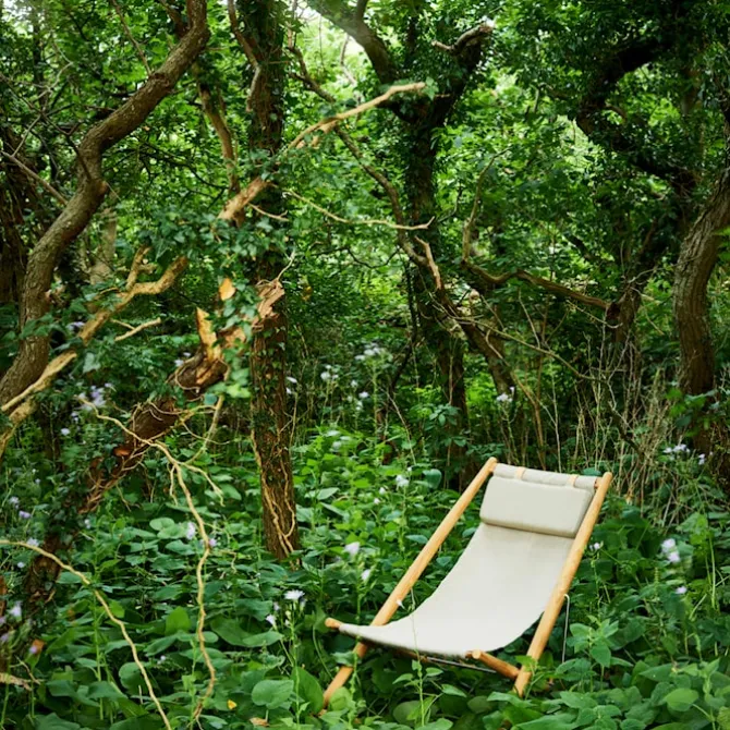 H55 Lounge Chair