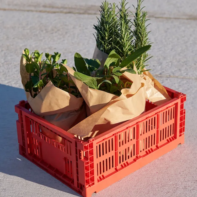HAY Color Crate Mix oppbevaringsboks Medium