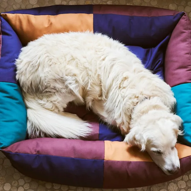 HAY hundeseng Large