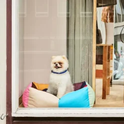 HAY hundeseng Small