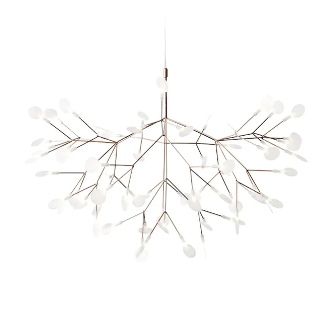 Heracleum III