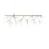 Heracleum III Endless