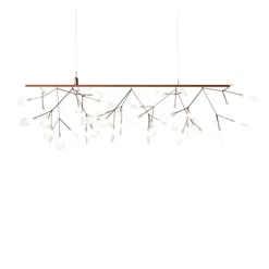 Heracleum III Endless