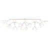 Heracleum III Linear