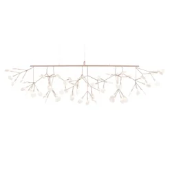 Heracleum III Linear