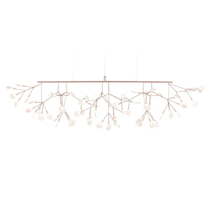 Heracleum III Linear