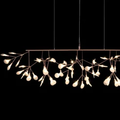 Heracleum III Linear