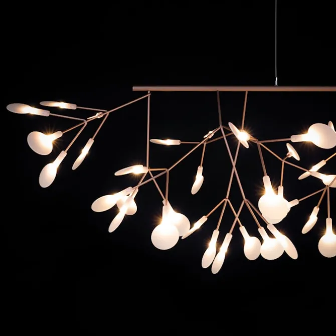 Heracleum III Linear