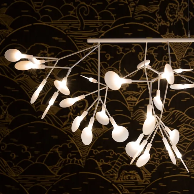 Heracleum III Linear