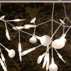 Heracleum III Linear