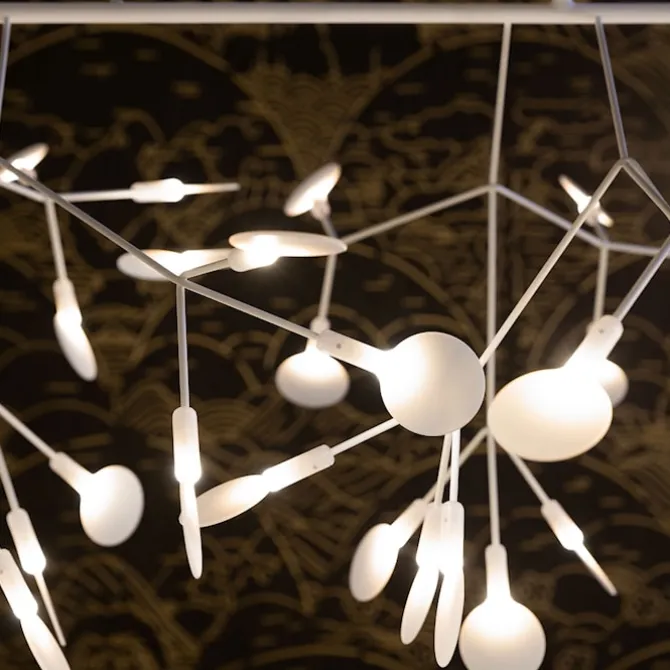 Heracleum III Linear