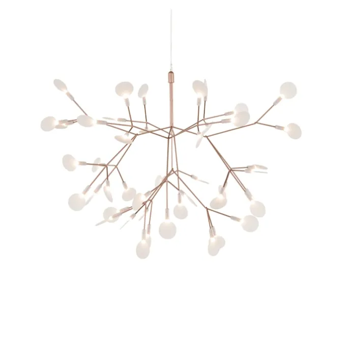 Heracleum III Small