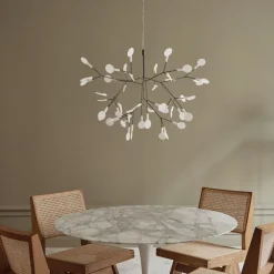 Heracleum III Small