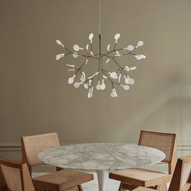 Heracleum III Small