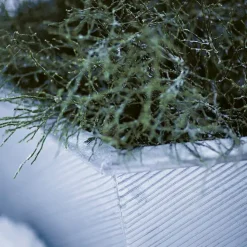 Hexagon Plantebeholdere Natur