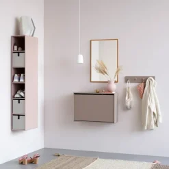 Hide Shoe Cabinet