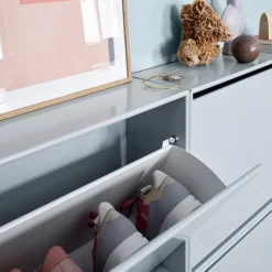 Hide Shoe Cabinet