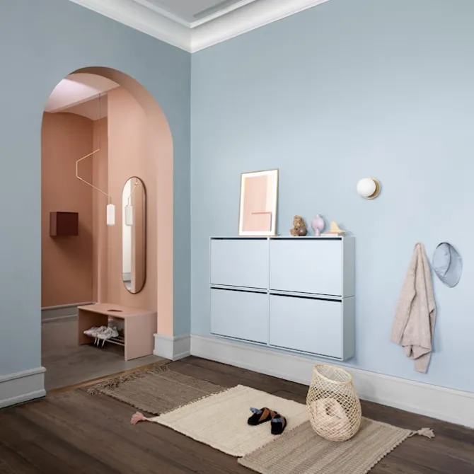 Hide Shoe Cabinet
