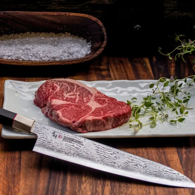 Hybrid Splash Gyuto Kokkekniv 24 cm