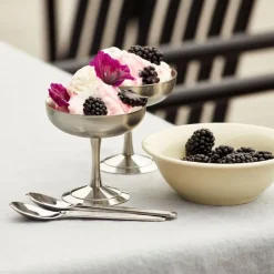 Italian Ice Cup dessertskål