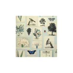 John Derian Picture Book