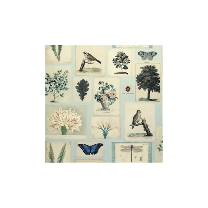 John Derian Picture Book