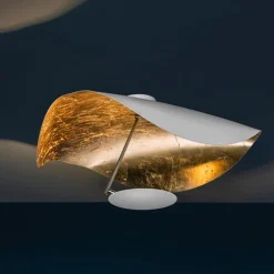 Lederam Manta CWS1