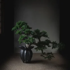 Lotus Vase - Coffee