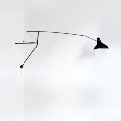 Mantis BS2