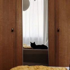 Memory Mirror