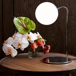 Modo Desk Lamp
