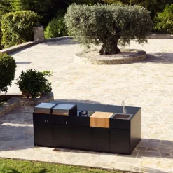 Module Gas Grill