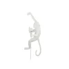 Monkey Lamp Hanging