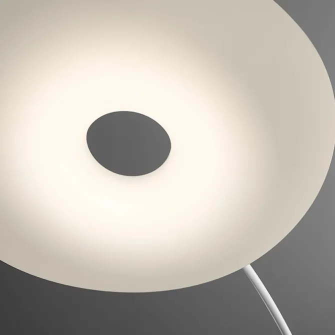 Mr Magoo Floor Lamp