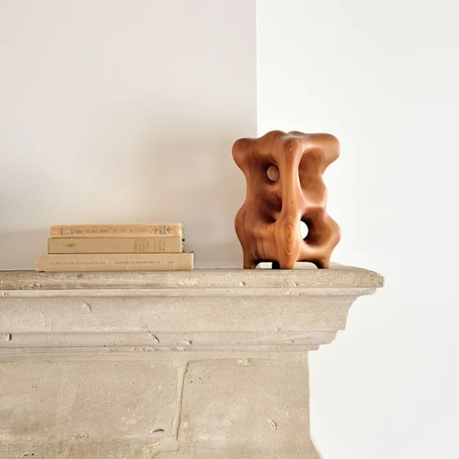 Natural Organic Sculpture