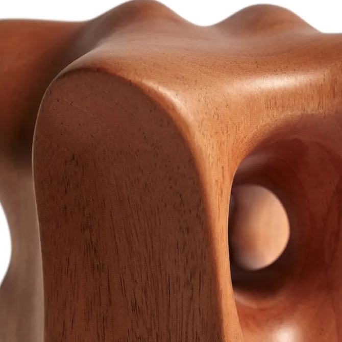 Natural Organic Sculpture