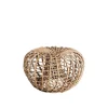 Nest Fotpall Liten Natur