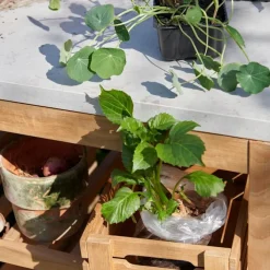 Pantry Module 2 utendørs arbeidsbenk